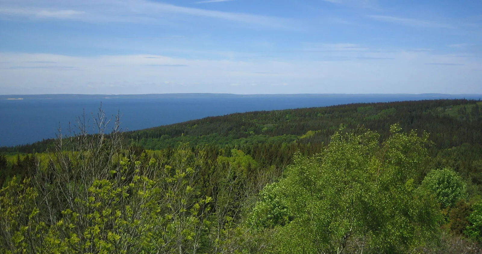 Utsikt från Omberg över Vättern med lövskog och barrskog i förgrunden