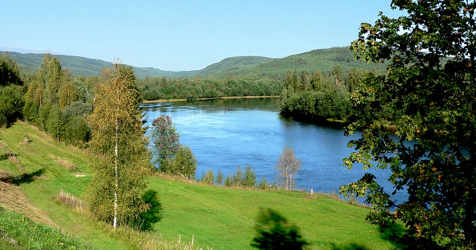 Klarälven genom skogsklädda höjder och gröna sluttningar i Värmland